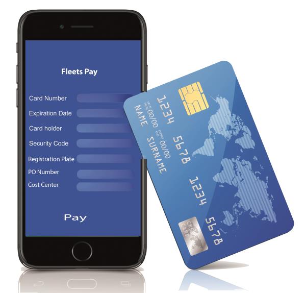 FIE FleetsPay
